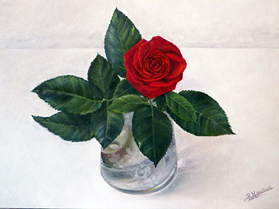 Rosa pintura óleo