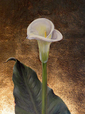 Cala pintura óleo