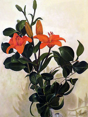 Lilium pintura óleo